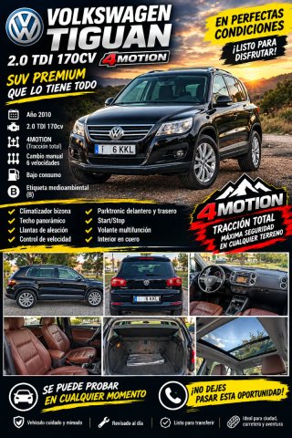 Volkswagen Tiguan 2010
