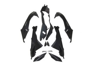 CARENADO PINTADO BMW S1000R 2009-2014