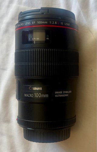 Canon EF 100mm f/2.8L Macro IS USM