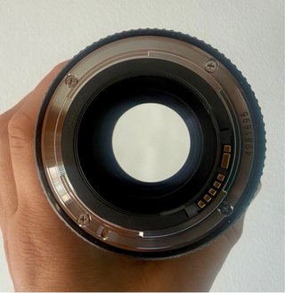 Canon EF 100mm f/2.8L Macro IS USM