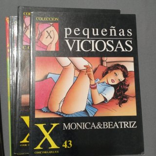 Lote de comics la cúpula serie X