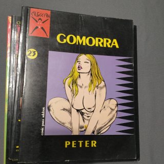 Lote de comics la cúpula serie X
