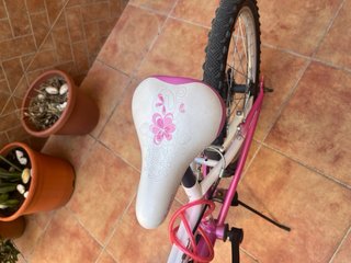 Bicicleta niña 20 pulgadas J-Wenti MTS-500