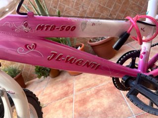 Bicicleta niña 20 pulgadas J-Wenti MTS-500