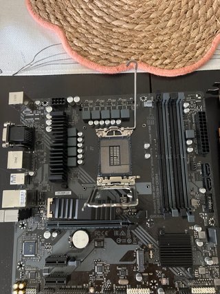 PC Gaming: Rx6600 Eagle, i5 14400f, 16GB RAM, SSD