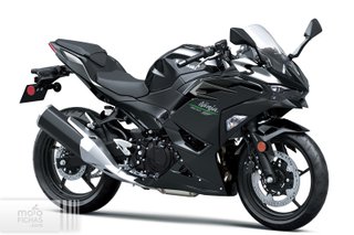 Despiece Kawasaki Ninja 500 2024
