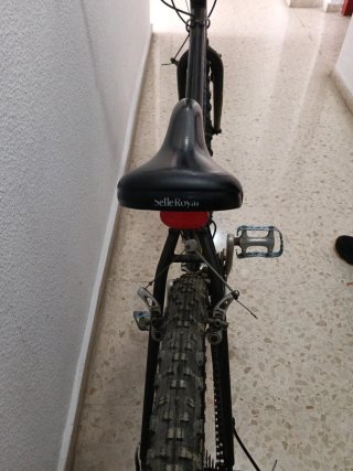 Bicicleta de Montaña Raleigh Luxus