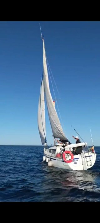 Velero Gib Sea 242