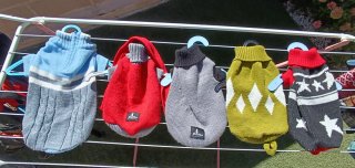 Ropa abrigo perro yorkshire toy