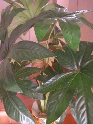 Jarrón decorativo con planta