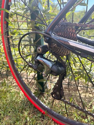 Bicicleta Carretera Trek Émonda ALR