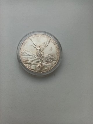 Onza Libertad Plata Pura 2004
