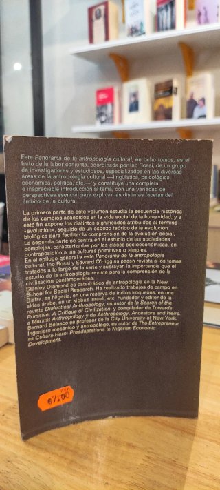 De la cultura primitiva a la cultura moderna