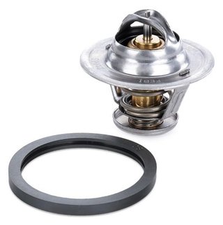 FEBI BILSTEIN Termostato, refrigerante