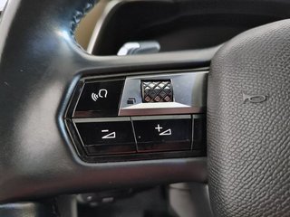 DS DS 7 BlueHDi DE 96kW (130CV) Auto. SO CHIC