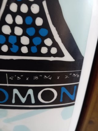 Tabla de surf Salomon Noseless 5'3