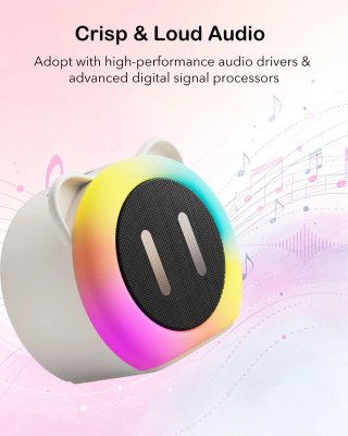 Karaoke Infantil 2 Micrófonos Inalámbricos