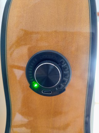 Chitarra flamenca José Gómez F80 EQ