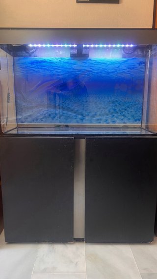 Urna Acuario Ciano con mueble, lámpara led, 210 l