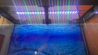 Urna Acuario Ciano con mueble, lámpara led, 210 l