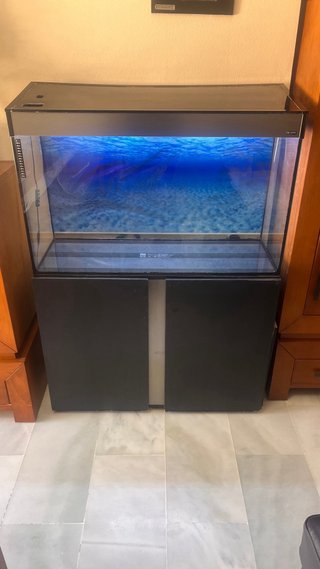 Urna Acuario Ciano con mueble, lámpara led, 210 l