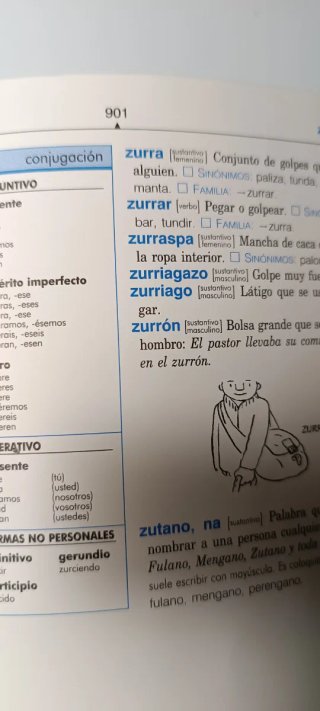 Diccionario Primaria. Nivel Básico
