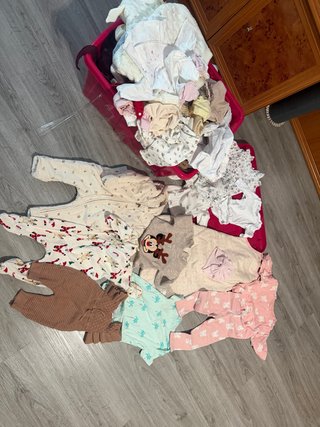 Lote Ropa Bebé 0-6 Meses