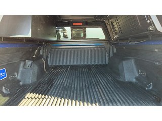 Ford Ranger Pickup 2.0 Ecoblue Doble Cabina Limited 4x4 125 kW (170 CV)
