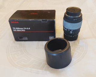 Sigma 70-300mm F4-5.6 DG MACRO