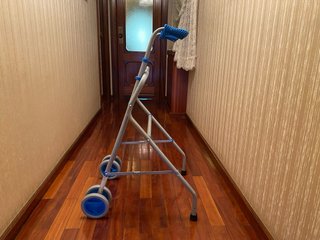 Andador para adultos con 2 ruedas