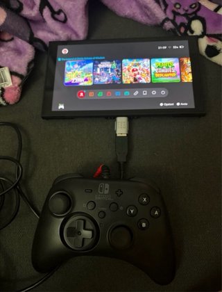 Nintendo Switch 2 Account con Password SCONOSCIUTA