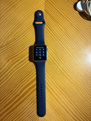 Apple Watch Serie 1 42mm + Cargador
