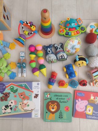 Lote Juguetes y Libros para Bebé 0-2 Años