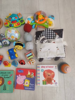 Lote Juguetes y Libros para Bebé 0-2 Años