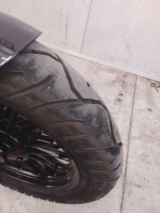 Benda Chinchilla 350 Negra