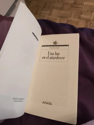 Una luz en el atardecer