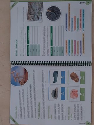 Nettie Stevens 1 ESO. Dossier. Biologia i Geologia
