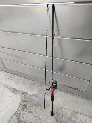 Canna da pesca con mulinello