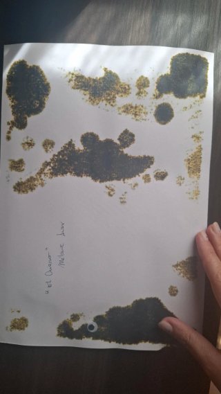 Dibujo El Cuervo - Arte Original