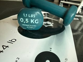 Kit Mancuernas 20kg Decathlon