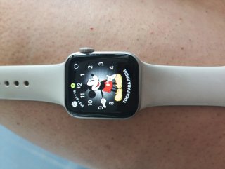 Apple Watch Series SE segunda generación Plata sol