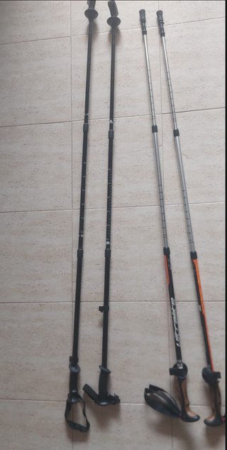 Bastones de trekking telescópicos