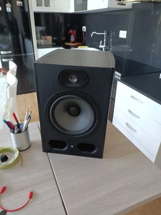 Monitores Focal Alpha 80