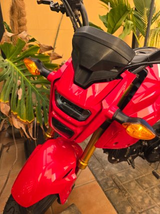 Honda MSX 125cc Roja