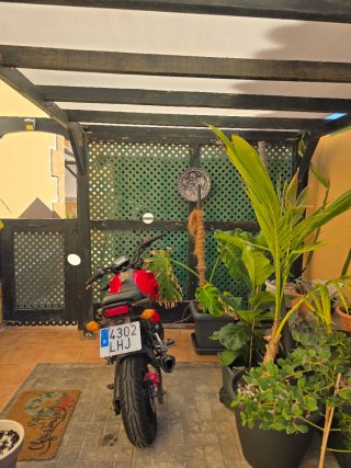 Honda MSX 125cc Roja