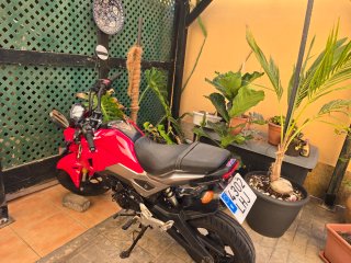 Honda MSX 125cc Roja