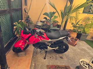Honda MSX 125cc Roja