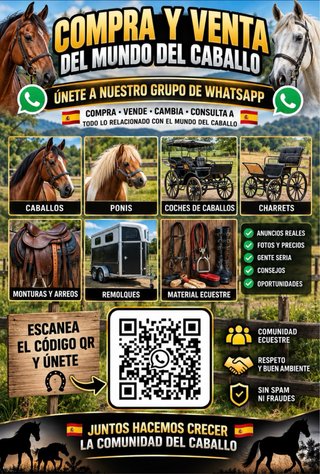 Pasión por el caballo