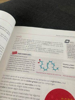 Procesos fisiológicos y de higiene en imagen co...