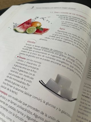 Procesos fisiológicos y de higiene en imagen co...